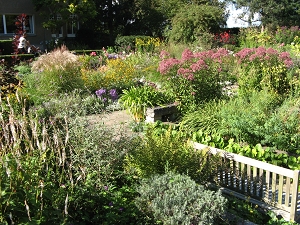 Karl Foerster Garten Potsdam Bornim Foto Brandt